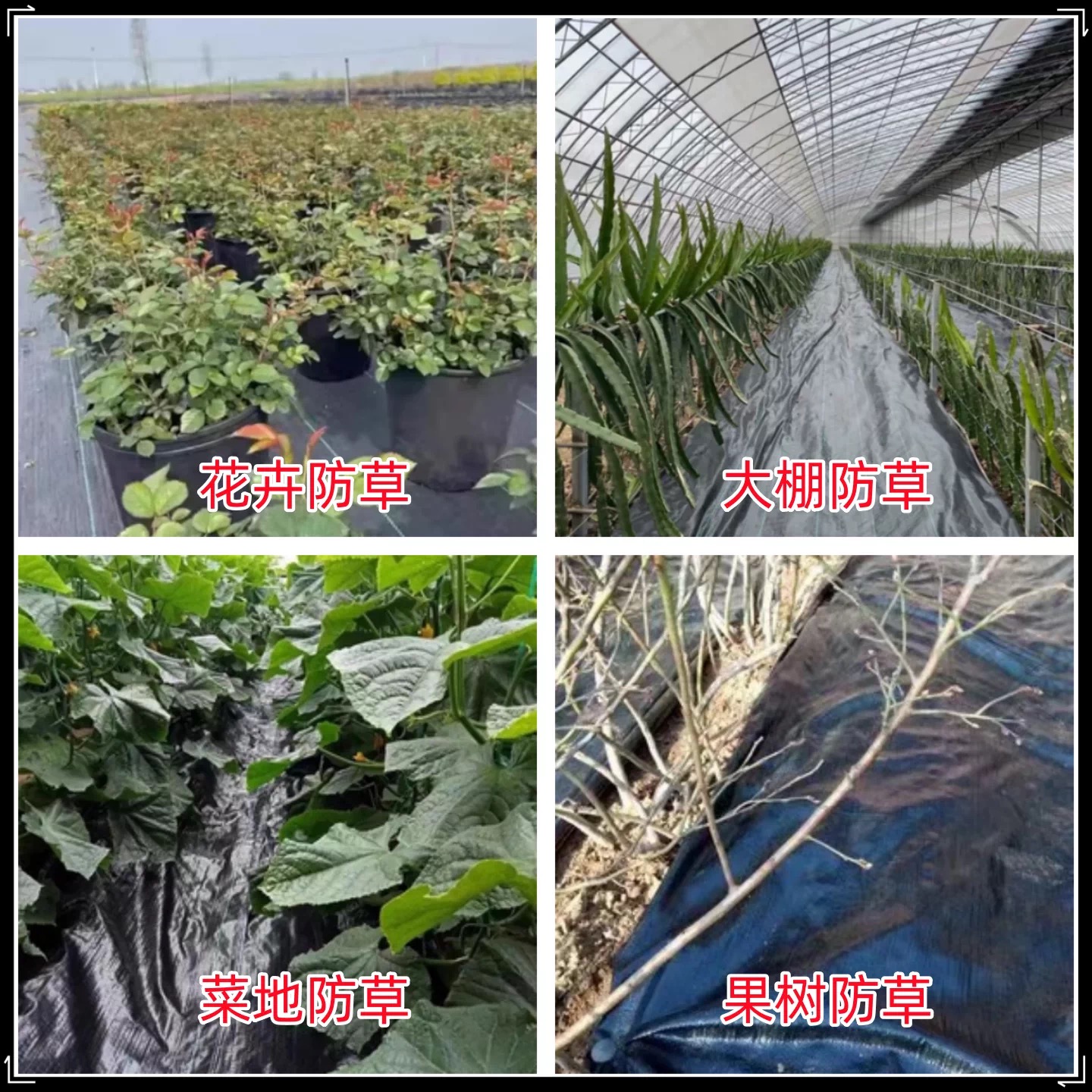 巴彦淖尔市黑白养殖膜防草布 - 价格